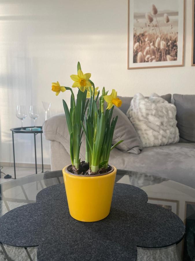 4-Sterne Ferienwohnung Krill Bad Wurzach Bagian luar foto